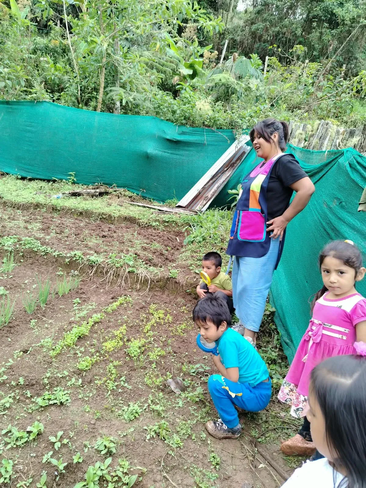 Niños con lupas junto a su maestra durante una experiencia en el huerto